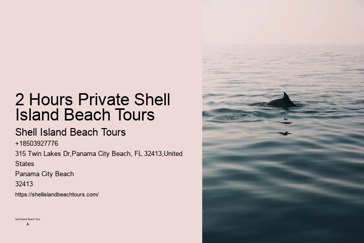 Private 2 Hour Dolphin And Snorkeling Tour