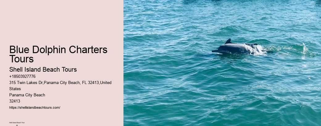 Blue Dolphin Charters Tours