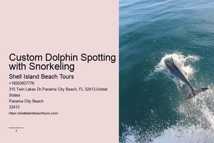Panama City Beach dolphin watching voyages