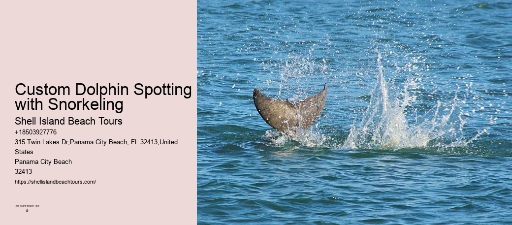 Diving With Dolphins
