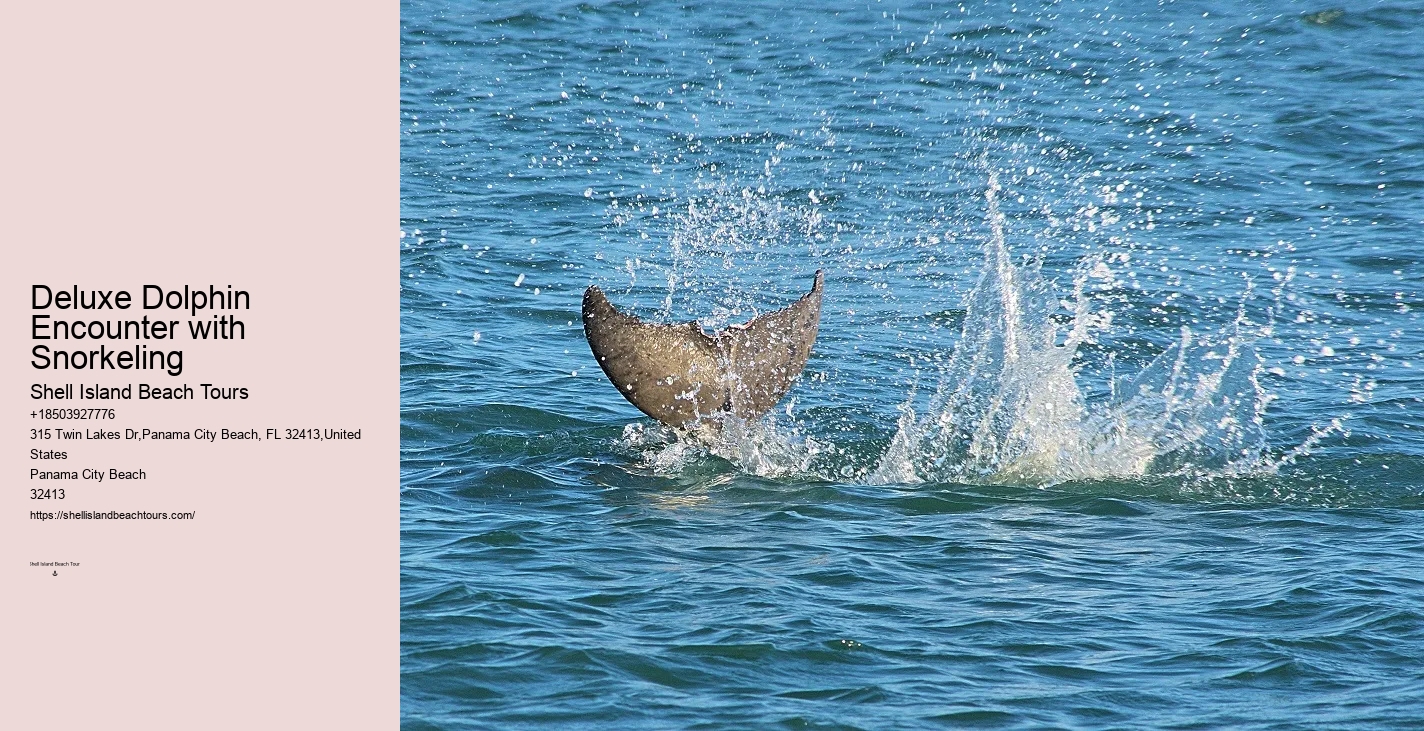 Orange Beach Jet Ski Dolphin Tours