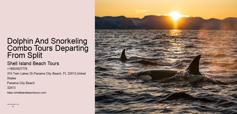Split Luxury Yacht Charters For Dolphin And Snorkeling Tours