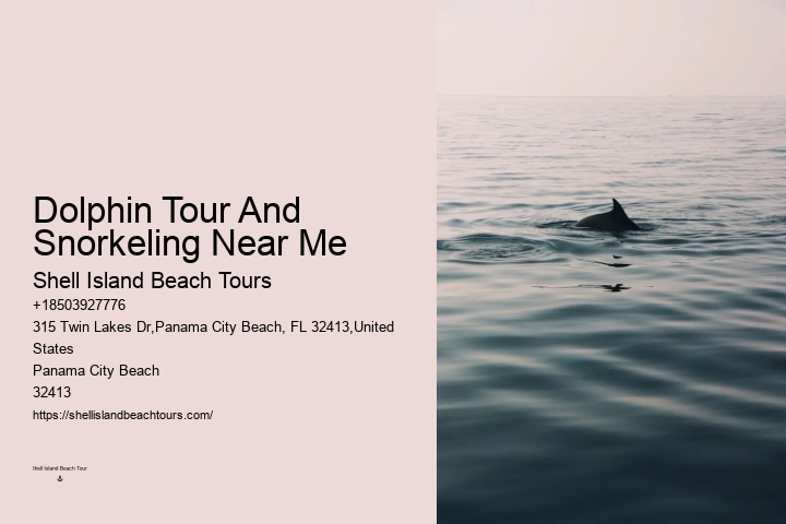 Best Panama City Beach Dolphin Tours
