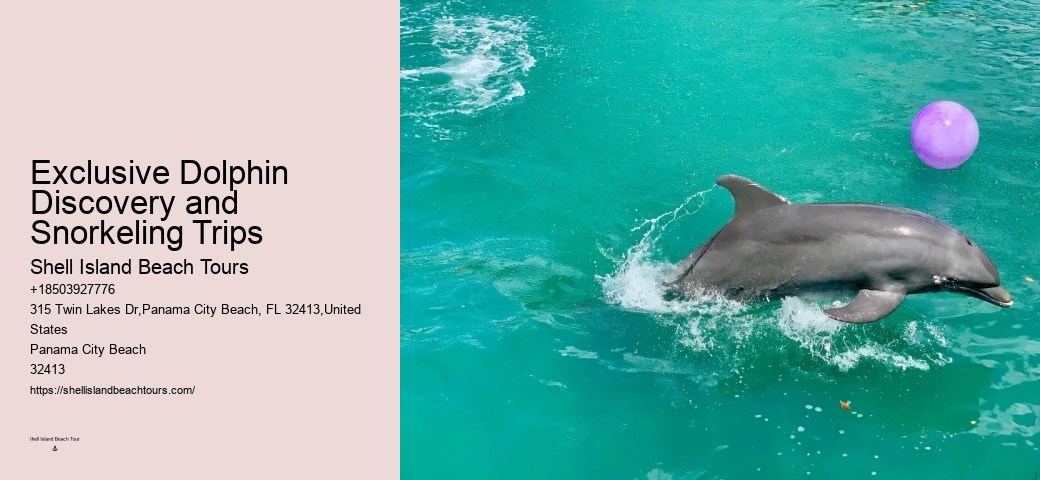 Best Dolphin Cruise Panama City Beach