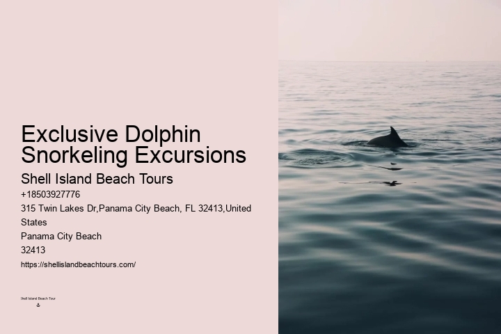 Do Dolphins Ever Bite Hooks