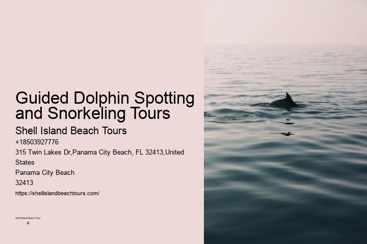 Split Charter Dolphin And Snorkeling Tours