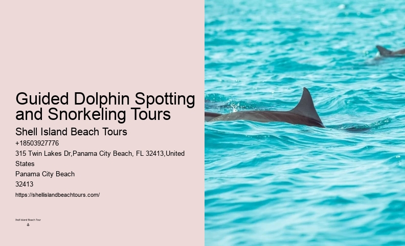 Dolphin Safaris PCB
