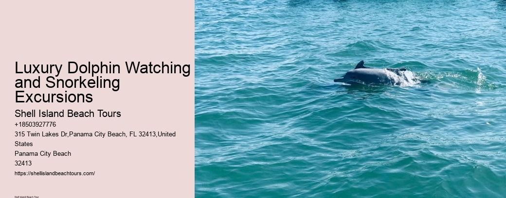 Luxury Dolphin Watching and Snorkeling Excursions