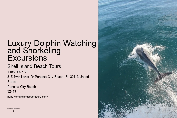 Is It Ethical To Swim With Dolphins