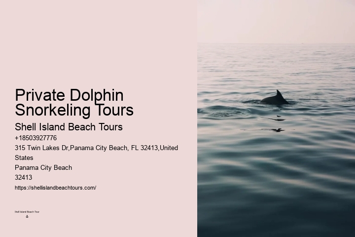 Jet Boat Dolphin Tours