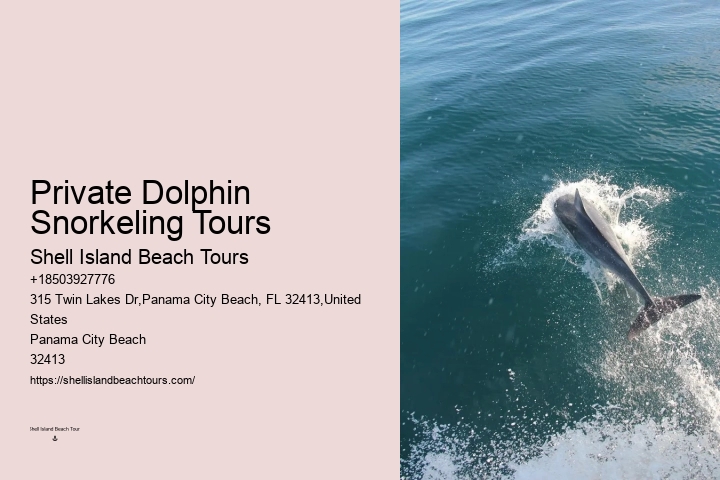 What is the refund policy if I'm not satisfied with the dolphin tour