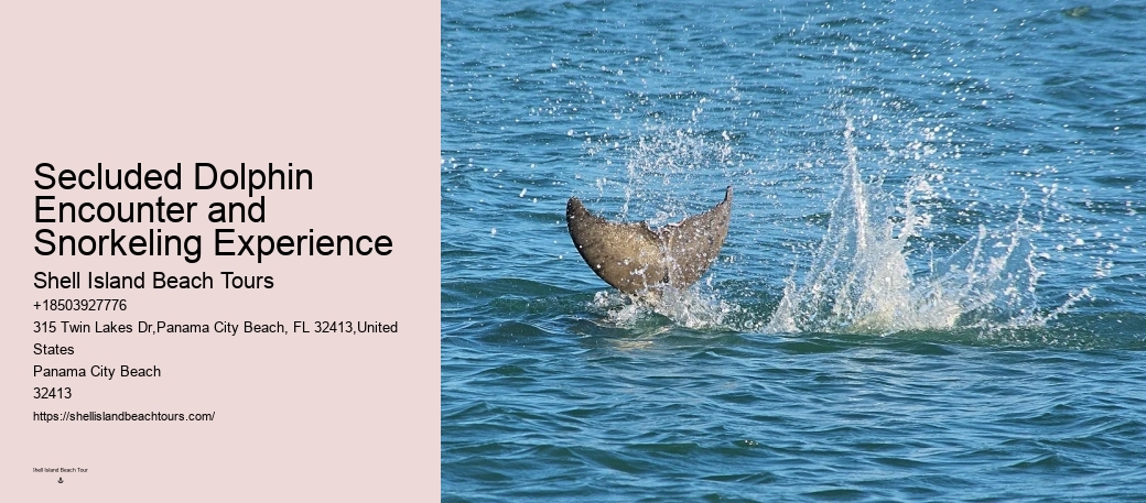 What Are Dolphins Worst Enemies