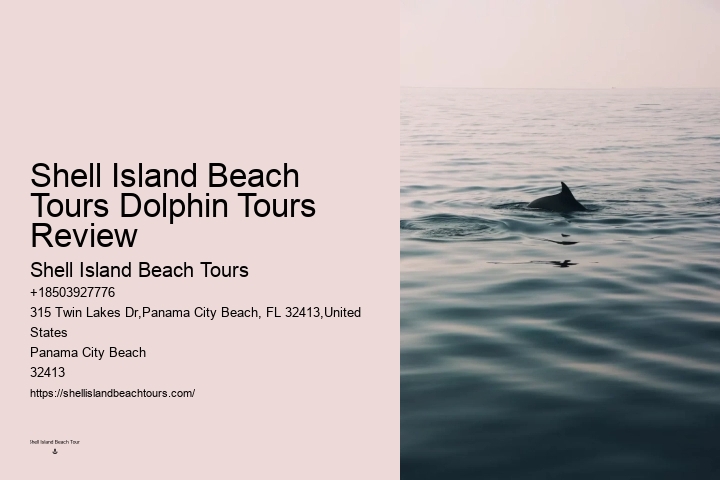 Do Dolphins Like Swimming With Humans