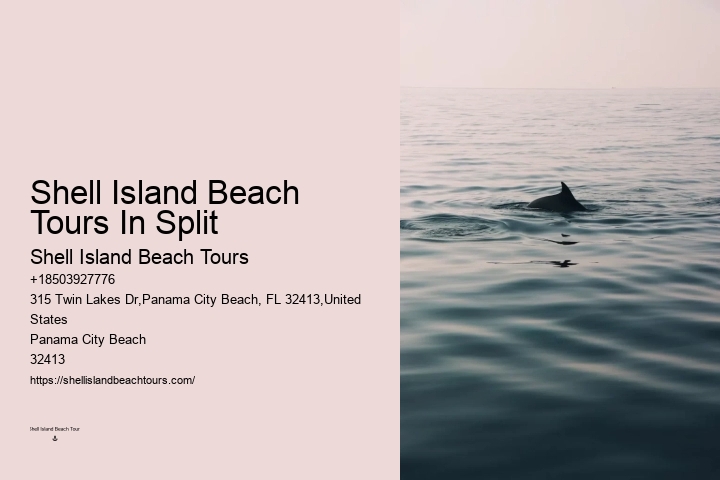 VIP Dolphin Spotting with Snorkeling