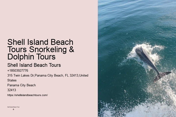 Split Family-friendly Dolphin And Snorkeling Trips