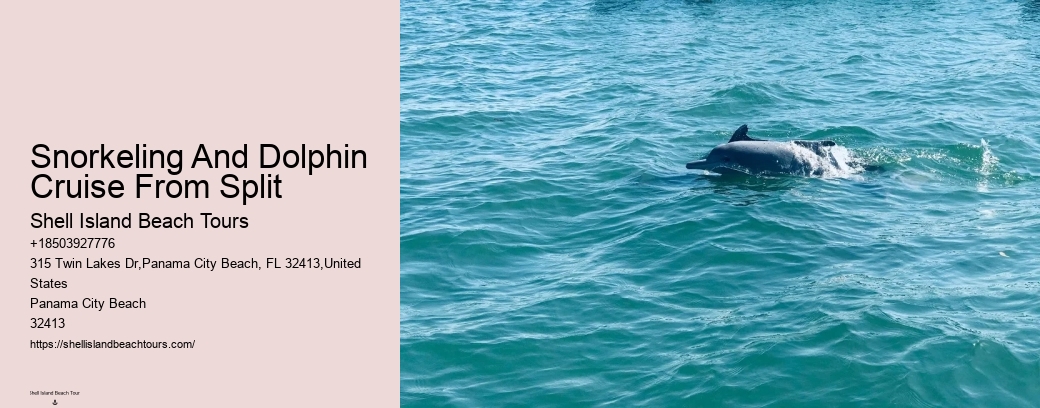 Snorkeling And Dolphin Cruise From Split