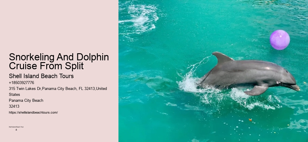 Do Dolphins Really Save Humans