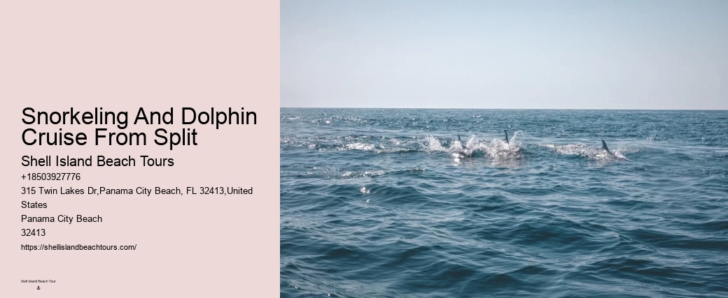 How Do Dolphins Know Humans Are Pregnant