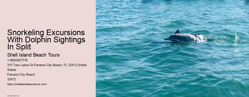 Snorkeling Excursions With Dolphin Sightings In Split