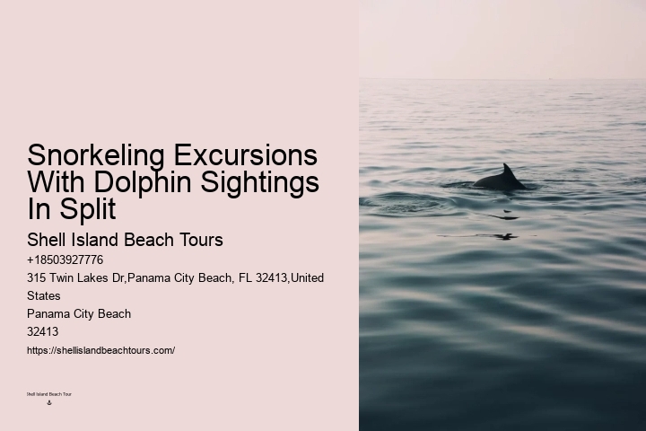 Dolphin Tours In Panama City Florida