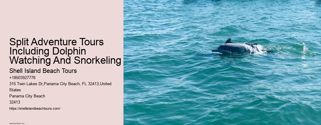 Split Adventure Tours Including Dolphin Watching And Snorkeling