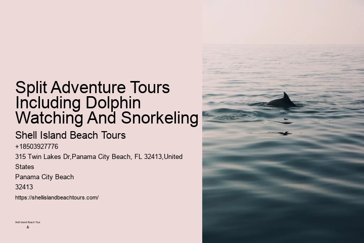 Panama City Beach dolphin watching adventures