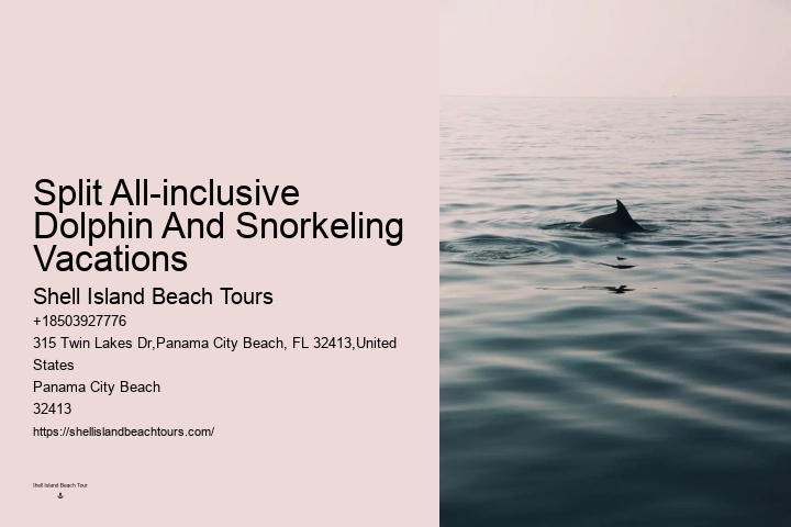 Split Immersive Snorkeling And Dolphin Experiences