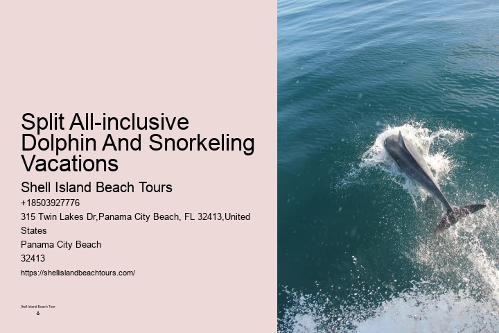 Panama City Beach dolphin adventure tours
