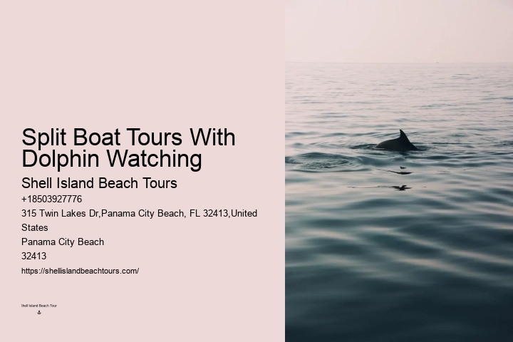 Private Dolphin Tours Hilton Head