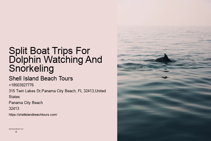 Experts Say Dolphins May Detect Human Pregnancies
