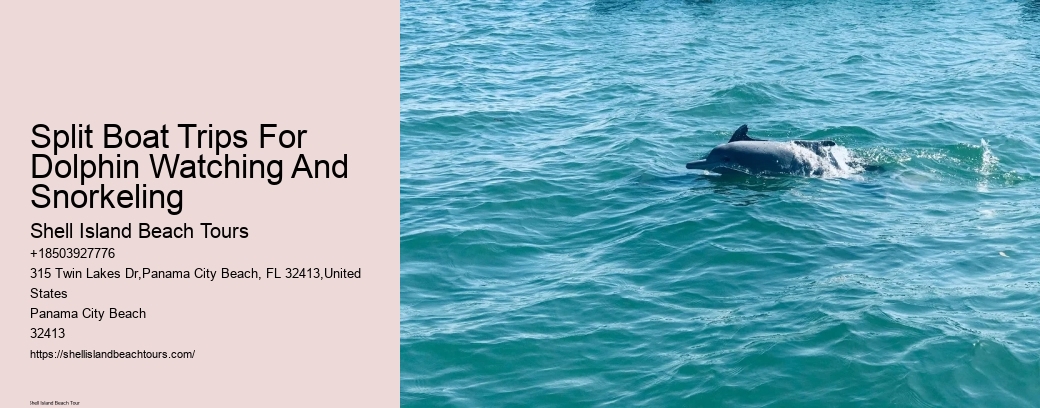 Split Boat Trips For Dolphin Watching And Snorkeling