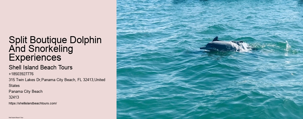 Split Boutique Dolphin And Snorkeling Experiences
