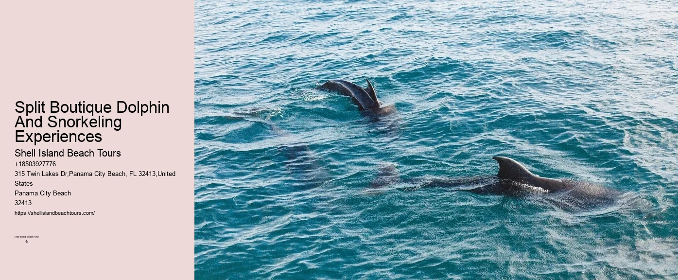 Is It True That Dolphins Use 20% Of Their Brain.