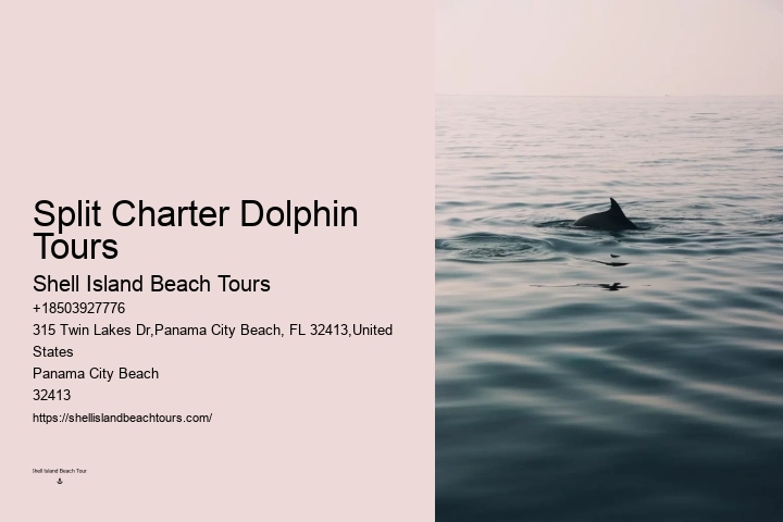 What Predator Kills Dolphins