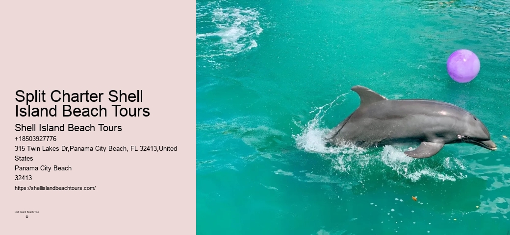 Charter Dolphin