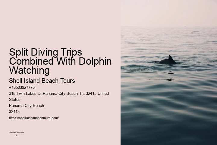 Are there any age restrictions for children on the dolphin tour