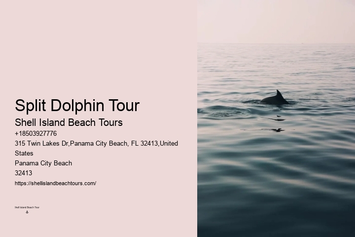 Panama City Beach Jet Ski Dolphin Tours