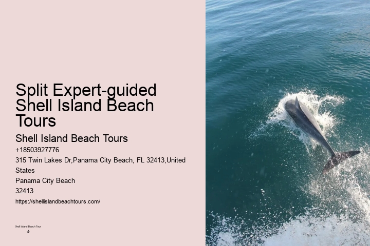 Panama City Beach Dolphin Tours