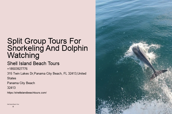 Are Dolphin Shows Ethical