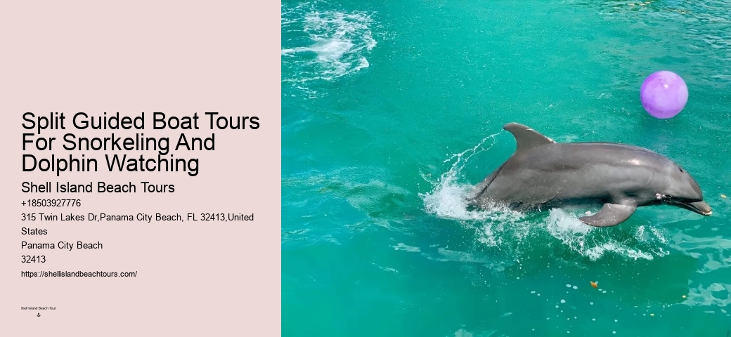Is The Blue Lagoon Dolphin Encounter Worth It