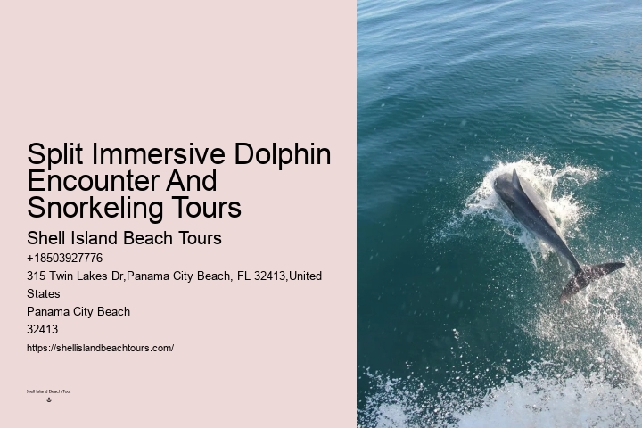 Panama City Beach Boat Tours To Shell Island