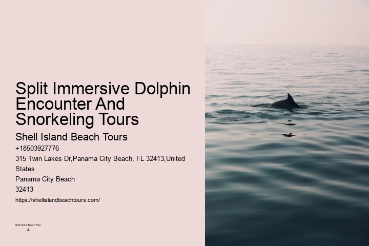 Marine mammal research
