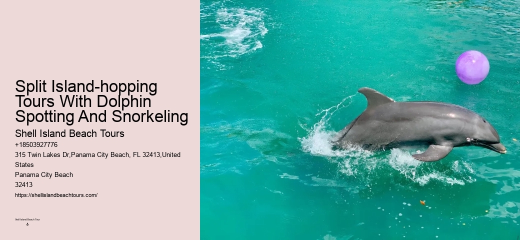 Secluded Dolphin Spotting with Snorkeling