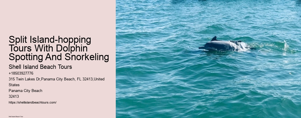 Split Island-hopping Tours With Dolphin Spotting And Snorkeling