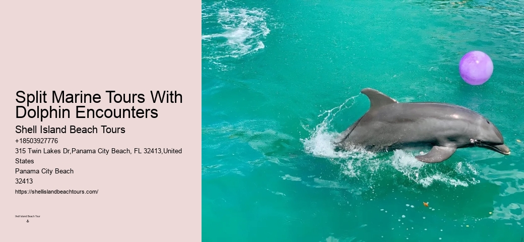 Tailored Dolphin Safari with Snorkeling