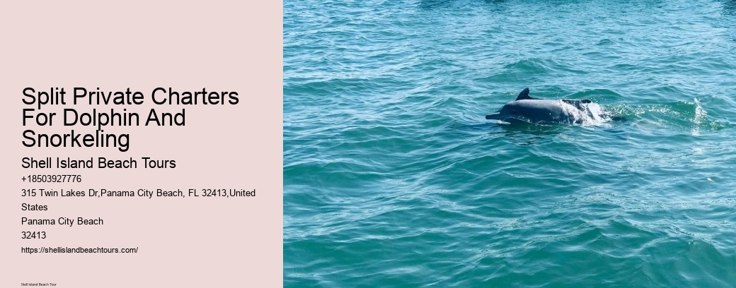 Split Private Charters For Dolphin And Snorkeling