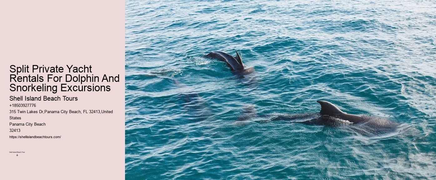 PCB Dolphin Viewing Tours
