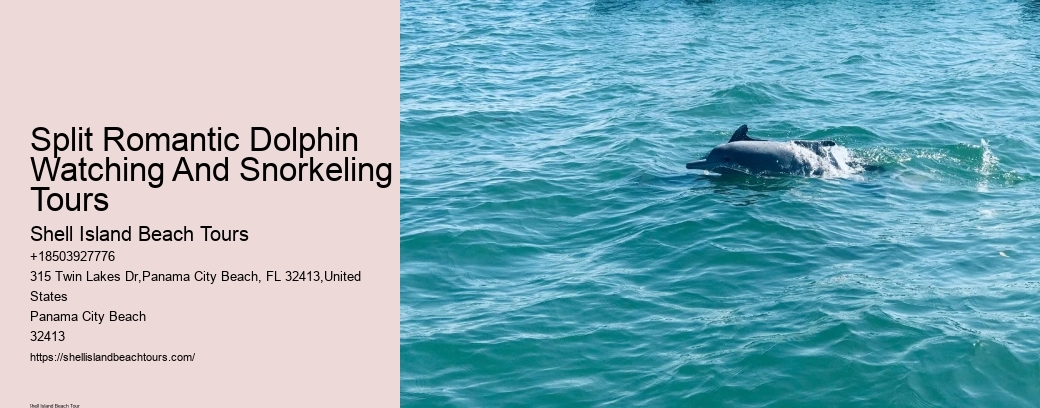 Split Romantic Dolphin Watching And Snorkeling Tours