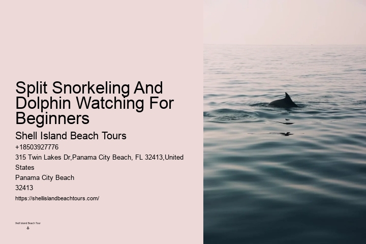 Are there evening sunset dolphin tours available in Panama City Beach