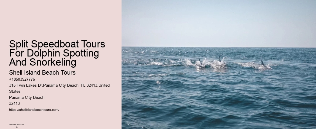 Split Marine Tours With Dolphin Encounters